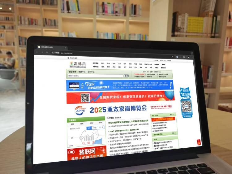 手工羽毛扇網(wǎng)站如何憑借傳統(tǒng)工藝傳承擴(kuò)大流量？同行都是怎么做的？